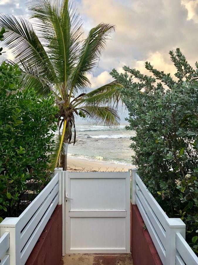 Appartement Au Bord De Mer Le Moule Exteriér fotografie